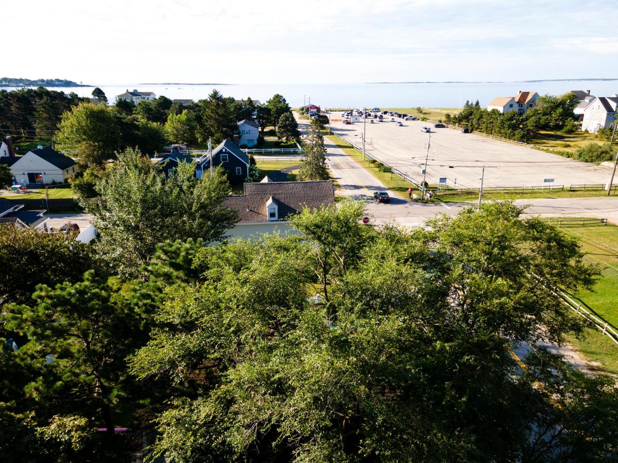 Bright 4Br Beach House, Pine Point Perfection Scarborough Dış mekan fotoğraf